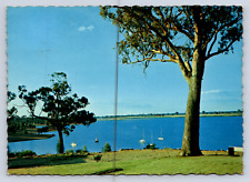 Vintage Postcard Australia Lake Eppalock Victoria picture