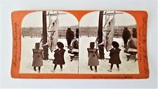 1903 antique STEREOVIEW photo CHILDREN STARE at PIG BUTCHERED hanging for FOOD picture