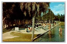 Warm Mineral Springs FL Florida Bathing Scene Unposted Chrome Postcard picture
