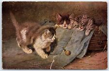 Ancient Ak Tierporträt Katzenkarte Three Kittens With Snail 1908 picture