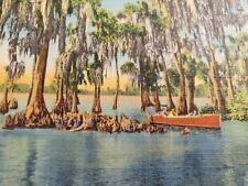 C 1941 Ancient Cypress Trees Boat Ride Tour at Florida Cypress Gardens Postcard  picture