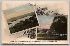 Webster MA~LakeViews~Violets~Bates Cove~Cottages~c1910 Handcolored Albertype picture