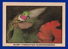 RUBY-THROATED HUMMINGBIRD 1977 KELLOGG'S BIRD STICK'R STICKER VGEX NO CREASES picture