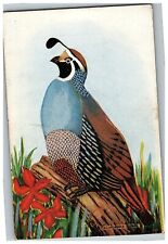 1914-19 California Quail Conservative Life Ins. Co Of America South Bend IN Card picture
