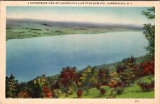 Canandaigua, NY A Picturesque View of Canandaigua Lake Vintage Postcard J637 picture