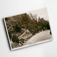 A3 PRINT - Vintage Somerset - The Woods, Kewstoke picture