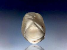 Pre Columbian Taino Anthropic Carved Shell Cemi Effigy Pendant With Provenance picture