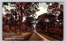 Doncaster England, Sandal Beat, Country Path, Antique Vintage Postcard picture