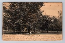 Sayre PA-Pennsylvania, Desmond Street Park, Vintage c1907 Souvenir Postcard picture