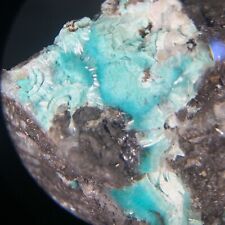 Aurichalcite Crystal Micro 79 Mine Hayden Gila Co Arizona USA picture
