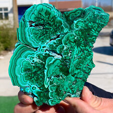 1.15LB  Natural glossy Malachite transparent cluster rough mineral sample picture