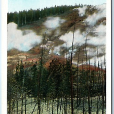 c1910s JE Haynes Roaring Mountain Thermal Steam Vent Yellowstone Park 16128 A222 picture