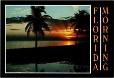 Florida Postcard: Florida Morning  picture