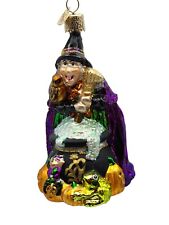 Old World Christmas Witch Cauldron Pumpkin Frog Halloween Tree Ornament OWC picture