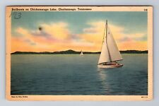 Chattanooga TN- Tennessee, Sailboats On Chickamauga Lake, Vintage Postcard picture
