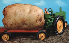 Postcard ID An Idaho Potato Exaggeration Posted 1955 Chrome Vintage PC H4806 picture