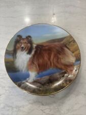 Summer Outing Shetland Sheepdogs Set Plate No. A7825 picture