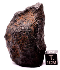 Meteorite NWA 15581 CK5 Carbonaceous chondrite meteorite, 85 grams picture
