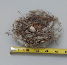 Genuine Bird Nest Abandoned Natural Authentic Taxidermy Craft Missouri Egg #10 picture