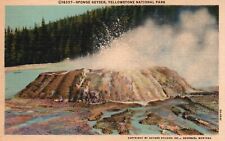 Postcard WY Yellowstone National Park Sponge Geyser 1935 Linen Vintage PC H3182 picture