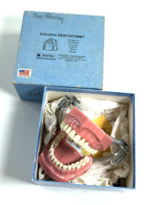 vtg Columbia Dentoform Dentist Manikin model phantom w/ BOX picture