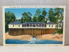 Springs House White Springs Florida Linen Postcard No 1844 picture