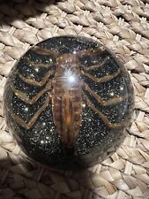 VINTAGE MAACK COMPANY SCORPION IN RESIN PAPERWEIGHT/ORNAMENT 4” picture
