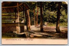 Postcard Spartanburg SC Cedar Springs picture