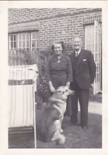 Vintage Snapshot Photograph Couple In Garden German Shepherd Dog Alsatian picture