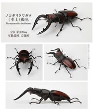Bandai The Diversity of Life on Earth Stag Beetle Vol 5 Prosopocoilus Inclinatus picture