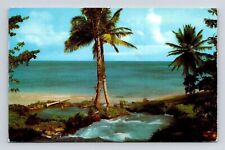 Jamaican Mountain Stream Caribbean Sea Beach Shorline Palm Trees PM Postcard picture