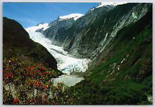 Continental Size Postcard - Franz Josef Glacier - Westland - New Zealand picture