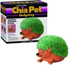 Hedgehog Chia Pet Decorative Planter picture