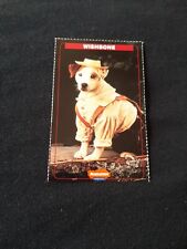 Wishbone jack russell terrier 1999 NICKELODEON Magazine Kids Choice Awards card picture