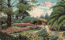 Pasadena CA California, A Garden in Winter, Vintage Postcard picture