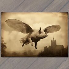 POSTCARD: Surreal Flying Pig, a Quirky Twist in the Skies Weird Strange 🐷✨ picture