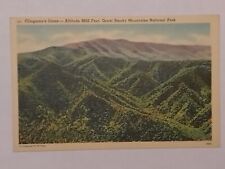Clingman's Dome Great Smokey Mountains National Park  Postcard picture