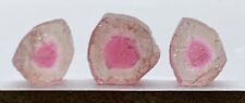 12 CT Bi Color TOURMALINE POLISHED SLICES FROM  AFGHANISTAN picture