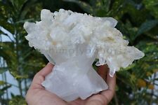 Big 1.53 Kg Natural Himalayan White Samadhi Crystal Minerals Quartz Raw Specimen picture