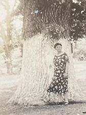Woman by Unusual Large Tree Antique Snapshot Photo c 1921 - Marion Indiana picture