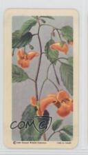 1961 Brooke Bond Red Rose Wild Flowers of North America Canadian Black Back 0a3 picture