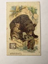c1880 Victorian Trade Card Brown Bear Dwight’s Cow Brand Baking Soda No 9  B77 picture
