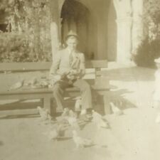 Vintage Sepia Photo Man Child Feeding Pigeons Birds Courtyard Park Bench Outside picture