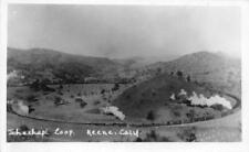 RPPC TEHACHAPI LOOP Keene, CA Train Railroad Kern County c1930s Vintage Postcard picture