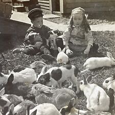 Antique 1907 Children On A Rabbit Farm Stereoview Photo Card P2638 picture