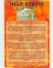 Postcard Help Stevie The Helping Paw Keansburg New Jersey USA picture