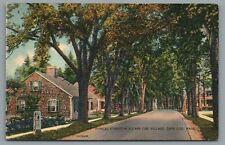 Typical Street in A Cape Cod Village, Cape Cod. Mass Vintage Postcard c1941 picture