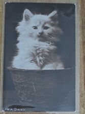 Vintage RPCC Postcard Cat I'm A Daisy 1908 Divided Back picture