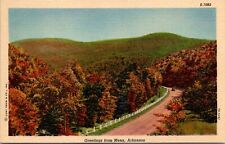 Arkansas Greetings From Mena Road Autumn Fall Trees 1930-45 Vintage Postcard picture