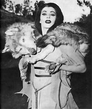 The Munsters 1964  Yvonne DeCarlo Lily 11.7x16.5 Photo Poster picture